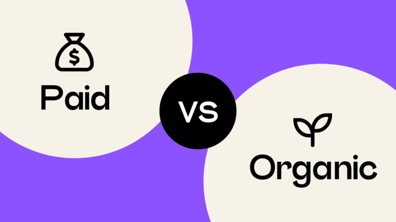 Organisch vs. Paid – Wann lohnt sich welcher Weg im Social Media Marketing?
